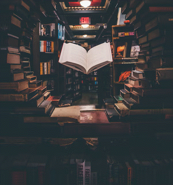 Postgraduate Study